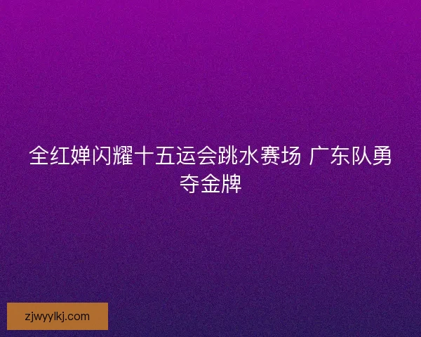 全红婵闪耀十五运会跳水赛场 广东队勇夺金牌
