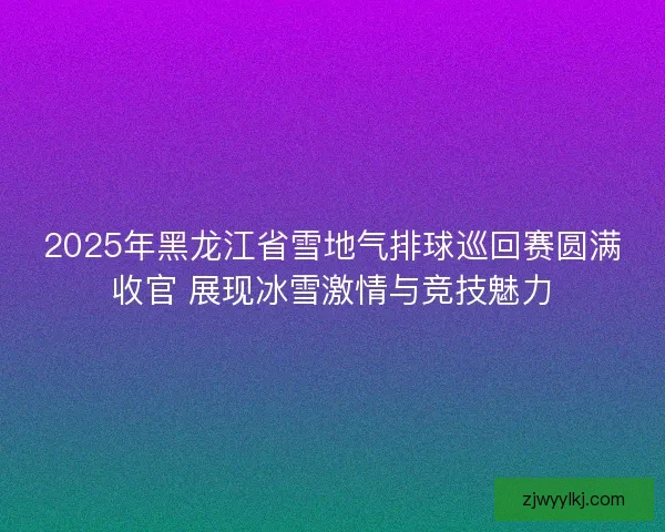 2025年黑龙江省雪地气排球巡回赛圆满收官 展现冰雪激情与竞技魅力 2025年黑龙江省雪地气排球巡回赛圆满收官 展现冰雪激情与竞技魅力
