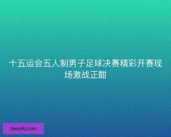 十五运会五人制男子足球决赛精彩开赛现场激战正酣