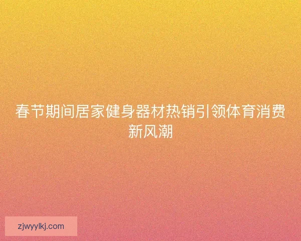 春节期间居家健身器材热销引领体育消费新风潮